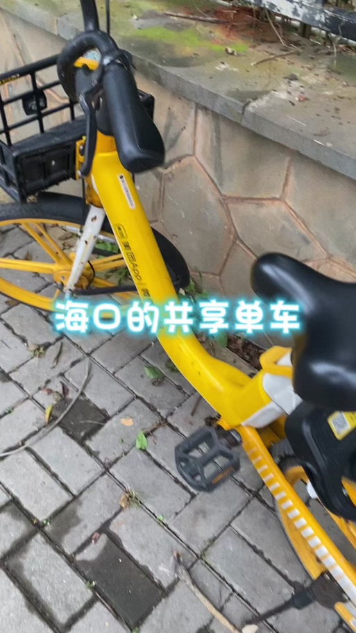 澳门研究生申请条件和海口禁止共享电单车与海口禁止共享电单车吗