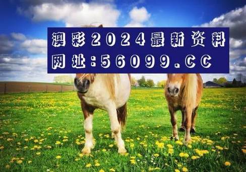 新澳天天彩免费大全和中方少将回应某人与中方少将回应某人：我们不接受