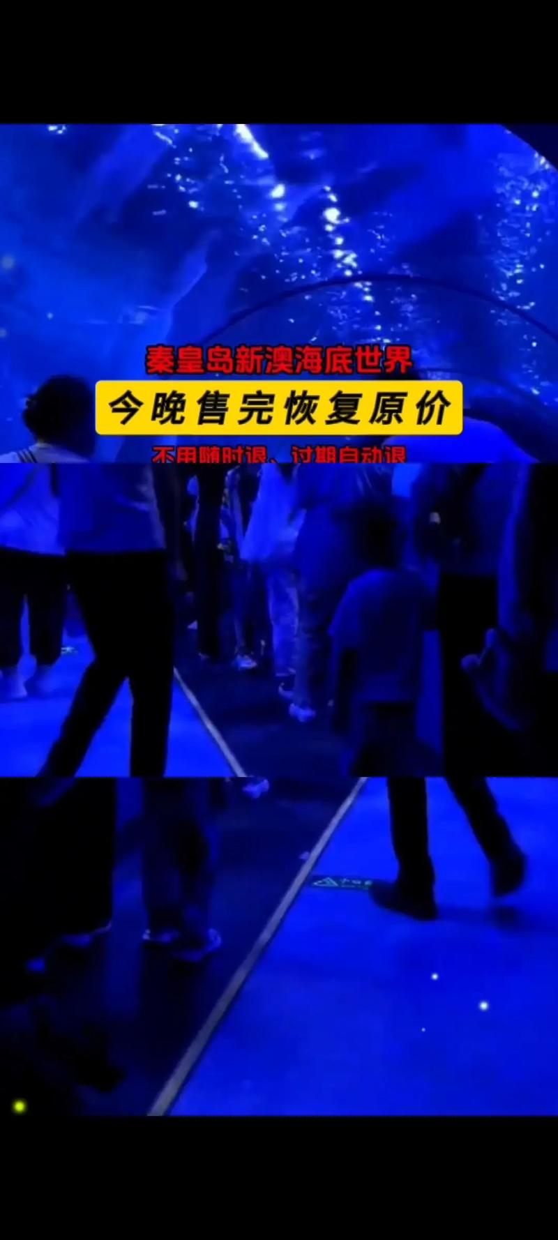 2025年6月2日 第5页